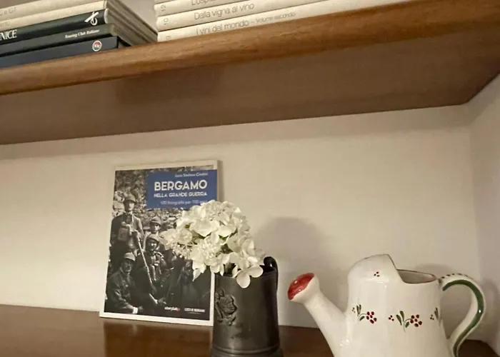 Accademia Paradise *